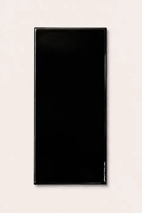 Liso Negro 10×20